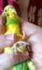 _20180524_130219.JPG