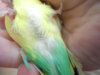 DSCN9634.JPG
