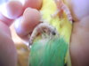 DSCN9628.JPG