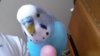 20180529_181045.jpg