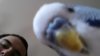 20180529_181005.jpg