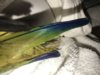 AB066AAD-FD57-42AD-9BA7-DD784A8F0BD7.jpeg
