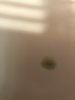 0F3691AE-F5F6-4705-9C01-48764BC9839B.jpeg