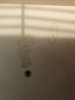AD09A75E-71FF-4113-8F42-9DC2ED868D7E.jpeg