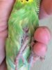 image2.jpeg
