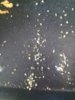 20180611_101635.jpg