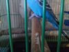 20180610_100437.jpg