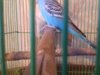 20180610_100501.jpg