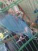 20180611_101826.jpg