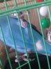 20180611_102016.jpg