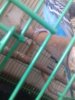 20180611_102115.jpg