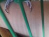 20180611_102248.jpg
