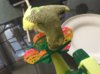 F25824E6-905F-4071-BDDF-6F38302702BF.jpeg