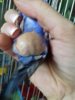 20180713_182612.jpg