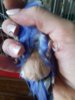 20180713_184356.jpg