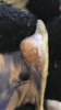 6D9F9E3A-CE1F-418E-815B-A0A60931A80A.png