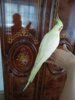 IMG_20180716_175750.jpg