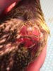 990B3403-7EA9-4489-A6FF-87A7D1AFCB78.jpeg