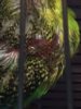 B05D23B8-CE87-42D7-A91E-117BB74250CC.jpeg