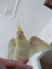 IMG_20180718_085629.jpg
