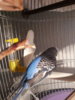 20180720_095609.jpg
