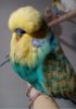 2018-07-26_214906.jpg
