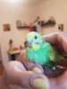 20180729_195924.jpg