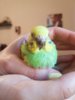 20180729_195932.jpg