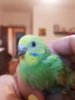 20180729_195938.jpg