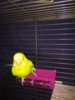 IMG_20180731_215746.jpg