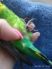 IMG_20180806_192620.jpg