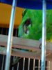 IMG_20180809_120801.jpg