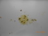 DSCN1740.JPG