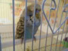 DSCN1750.JPG