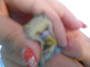 DSCN1739.JPG