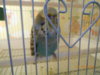 DSCN1749.JPG