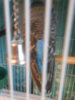 DSCN1745.JPG