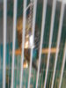 DSCN1746.JPG