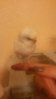 20151213_210205.jpg