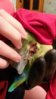20151216_183432_1_bestshot.jpg