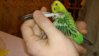 DSC_0065.JPG