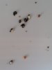 20180817_102219.jpg