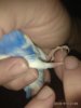 IMG_20180901_210505.jpg