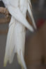 DSC_0062.jpg