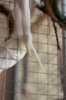 DSC_0082.jpg