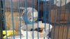 IMG-20180913-WA0004.jpg