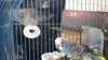 IMG-20180913-WA0006.jpg