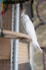 DSC_0017.jpg