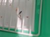IMG_20180917_150615.jpg