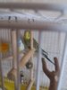 20180917_135930.jpg